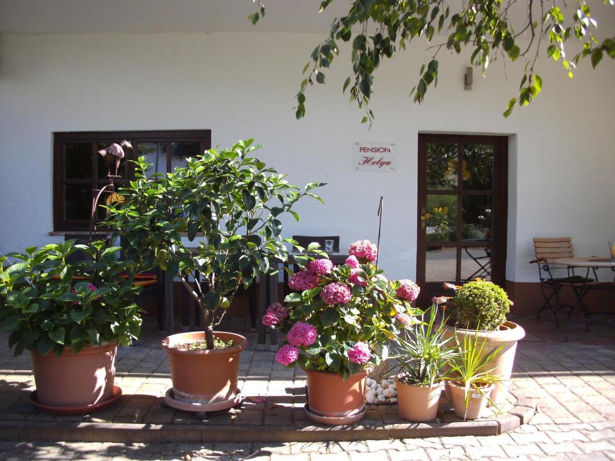 Pension Helga Bad Dürkheim Exteriér fotografie